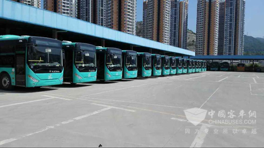 227辆中通客车成功进驻深圳巴士集团 -客车产