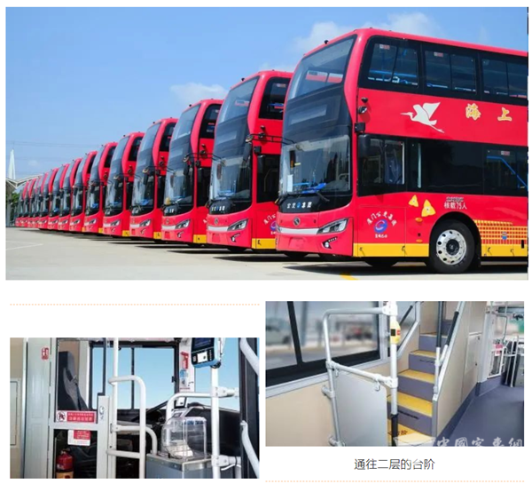 深圳巴士吧金龙图片