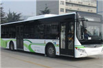 宇通ZK6125BEVG19公交车（纯电动10-45座）