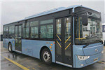 金龙XMQ6106AGBEVL31公交车（纯电动19-40座）