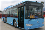 金龙XMQ6127AGBEVL10公交车（纯电动21-46座）